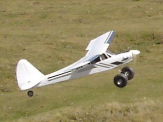 Fun Cub